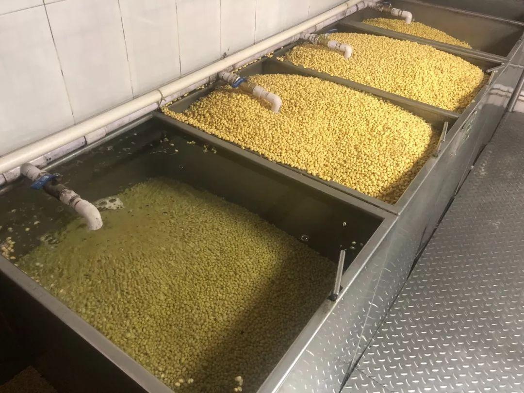 豆制品加工廠(chǎng)污水處理