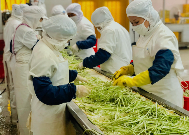 三種食品污水處理設備工藝流程，看看哪種適合您？