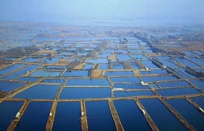 一次性說(shuō)清楚水產(chǎn)養殖廢水的主要處理工藝