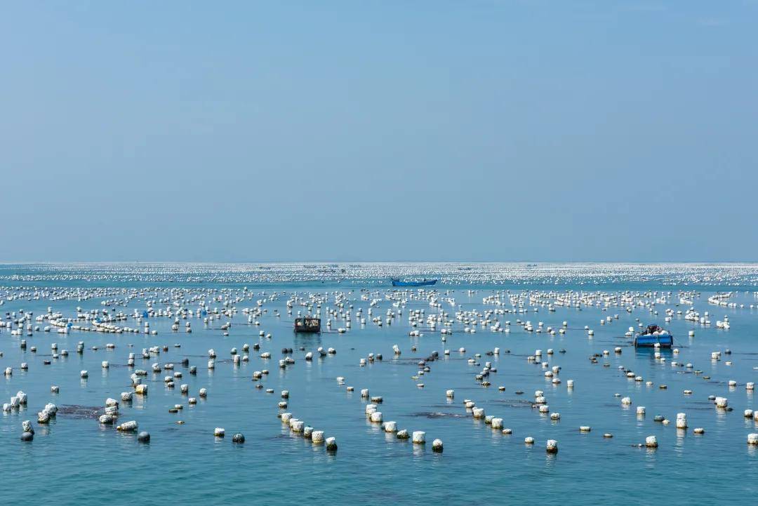 海水水產(chǎn)養殖廢水處理方法|工藝流程|排放標準-1